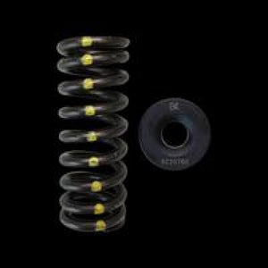 Brian Crower Honda D16Y8/D16Z6 Single Spring & Steel Retainer Kit - BC0070S