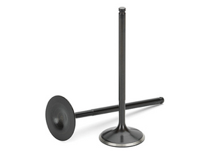 Supertech Black Nitrided Intake Valve - Set of 10 fits VW 2.5L 5Cyl